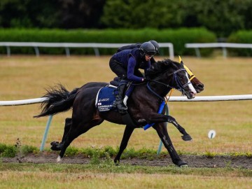 Masquerade Ball ready to face his biggest challenge yet
