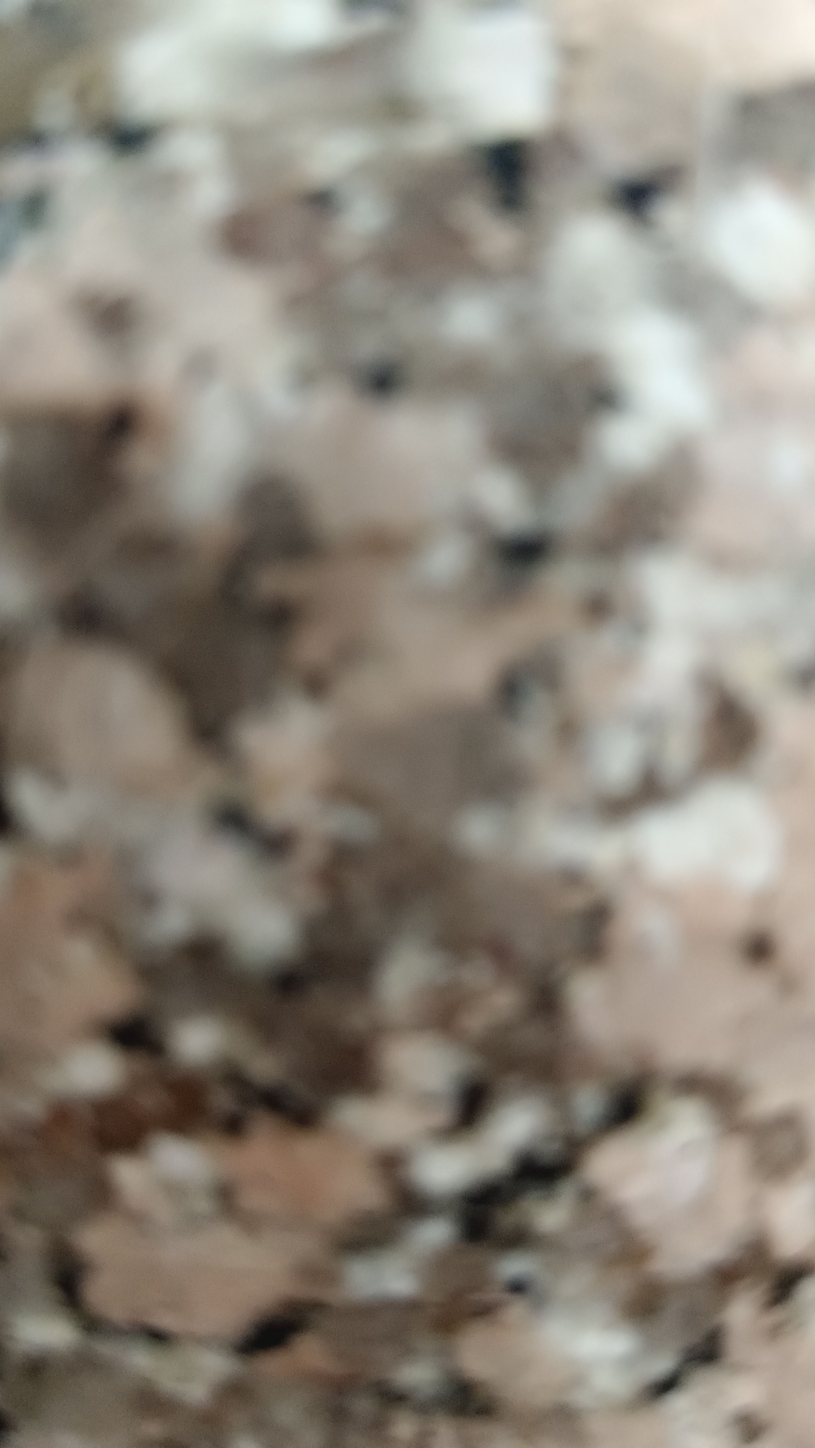 Test post 
