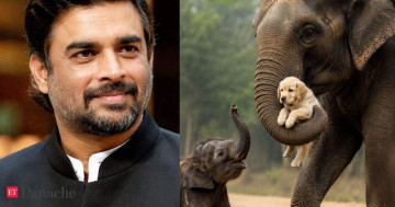 Actor R Madhavan shares video of baby elephant getting 'jealous' after seeing its mother carry a puppy. What the calf does next is too cute