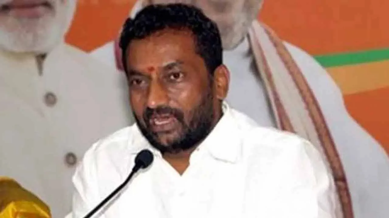 People's Properties Should Be Removed From Banned List: Raghunandan