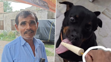 Dogs Get Their Own Kulfi! Jaipur Vendor's Sugar-Free Treat Goes Viral