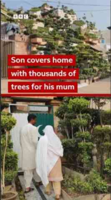 From “No Room” to 5,700 Trees: A Son’s Answer to His Mother’s Wish