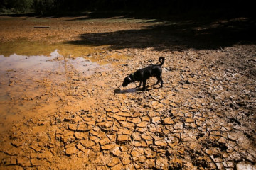 Super El Niño Is Building: What It Could Mean for Weather Worldwide