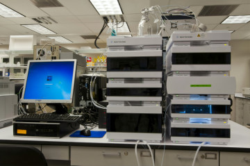 Scientists Discover New Cause of Aging Muscle Weakness