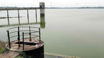 Rajgarh Farmers Adapt to Water Shortage, Turn to Early-Maturing Wheat for Rabi Season