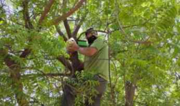 In Punjab, One Man Has Built 80,000 Homes For Birds