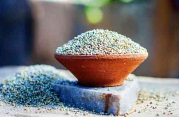Bajra Arrives in Haryana Mandis, But Farmers Are Selling ₹700 Below MSP