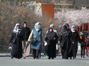 US Immigrant Visas From Muslim-Majority Countries Drop 96%
