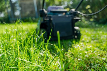 When to stop mowing the lawn for winter-don't miss the window for the final mow - AOL