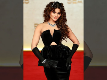 Urvashi Rautela Seeks Rs 7,000 Crore Over AI Dispute, Sheeraz Hasan Responds: 'Educate Yourself'