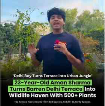 From Barren Terrace to Urban Jungle: 500+ Plants Bring 100+ Bird Species to Delhi!