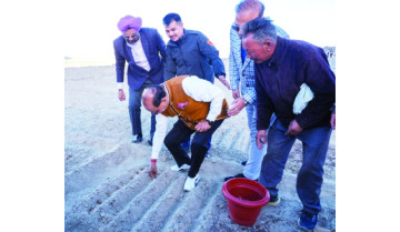 Saffron in the Himalayas? Ladakh Launches a Bold New Farming Experiment