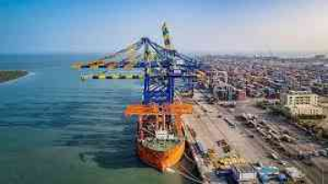 Adani Ports Keeps Sailing Strong, Cargo Volume Rises 11%