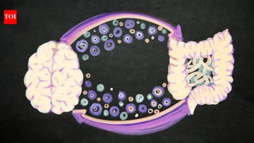 Your Gut Might Know Your Brain Better Than You Think
