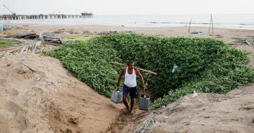 Maharashtra To Cut Water in Cities as El Niño Hits Rainfall