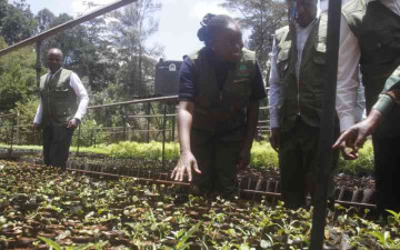 Kenya Sets Big Green Goal: 17.24 Million Trees to Be Planted During Mazingira Week