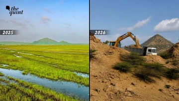 Chhari Dhandh: Balancing Green Energy Growth With Nature’s Rich Biodiversity