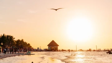 No Cars, Just Sun, Turtles & White Beaches: This Winter Island Feels Like Paradise