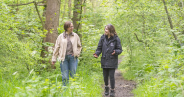 Hidden Bradford Woodland Turns Out to Be a Secret Haven for Birds, Bats & Wildlife