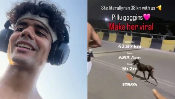 Kanpur Dog Runs 38 Km With Runners; Internet Says 'Pillu Goggins' Deserves To Go Viral