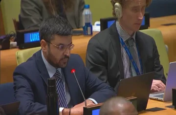 'You Cannot Run With Hares And Hunt With Hounds': India Slams Pakistan Over Terrorism At UN