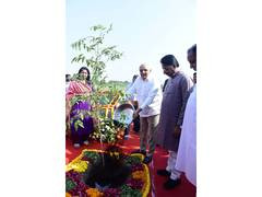 Ahmedabad Municipal Corporation achieves milestone of planting 50 lakh trees under Mission Five Million Trees