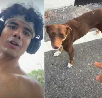 Make Pillu Goggins viral: Kanpur dog runs 38 km with marathon group, becomes Internet star