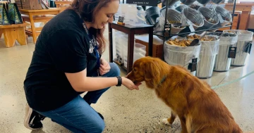 Want to Be a More Sustainable Pet Owner? Start With These Everyday Habits