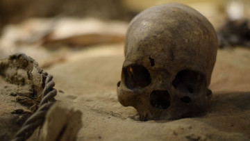 A Child’s Skull Hidden Under a House for 200 Years Is Challenging What We Thought We Knew About Viking Warriors