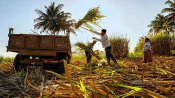 Food vs Fuel Is the Wrong Question? India’s Ethanol Push Aims to Power Cars and Support Farmers—Without Compromising Food Securit