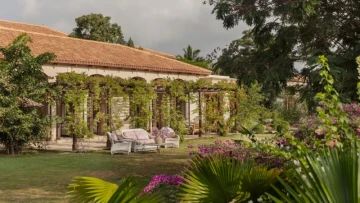 5 flowering creepers that double as natural curtains