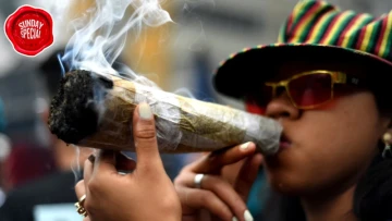 Delhi’s Hydro Ganja Goes AWOL: Even the Stoners Are Asking, “Supply Kidhar Hai?”