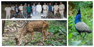 Odisha Governor Explores Debrigarh Sanctuary, Stresses Sustainable Tourism Growth