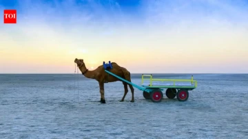 This white desert in India turns silver under the moon: Why winter is the best time to experience it's beauty