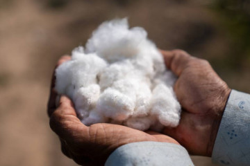 Cotton Gets a Green Makeover: Better Cotton Levels Up Its Regenerative Game
