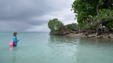 urns out, bird poop is more than a beach nuisance! Bringing seabirds back could help nourish ecosystems around vulnerable coral reefs. 🌊