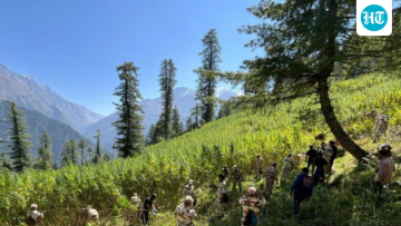 Parvati Valley’s postcard-perfect image has a plot twist: four agencies have cleared 592 acres of illegal cannabis crops in a major crackdown!