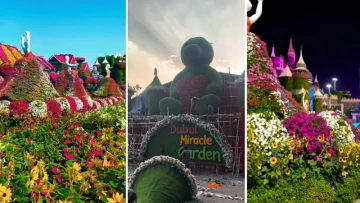 Dubai trip on your mind? Bhopal’s Navratri pandal brings Miracle Garden vibes with a giant bear, dancing dolls and an Emirates-style floral plane! 🌸