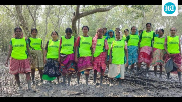 Mangrove Army: How women are protecting Sundarbans forest, one sapling a time