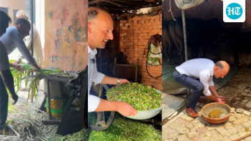 “Can You Handle Desi Gaon Life?” Indian Farmer Challenges German Diplomat to Feed Cows, Cut Fodder and Pick Up Gobar