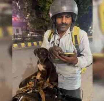 🐾 From “Aww” to Delivery Paw-tner: Blinkit Riders Rescue Puppy, Now Take Him Along on Deliveries