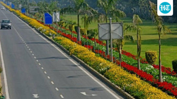 Delhi Gets a Tulip Makeover, MCD Misses the Bloom Again! 🌷 4.67 Lakh Tulips to Flower in NDMC and DDA Parks