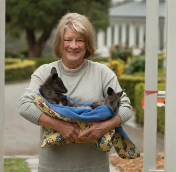 37 Years of Rescuing Wildlife, and Carol Seegar Is Slowing Down, but Her Shelter Isn’t Closing Just Yet 🦘