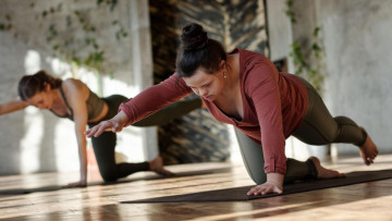Bird Dog Is More Than A Cute Name! This No Equipment Move Works Your Core And Balance