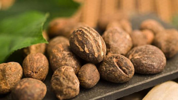 Think Shea Butter Is Just for Skin? They Aren’t Just Skin-Deep: The African Nut With Heart, Gut and Anti Inflammatory Perks
