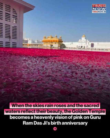 Golden Temple Raining Roses for Guru Ram Das Ji's Birthday Has Us Missing the Vibe! 🌹✨