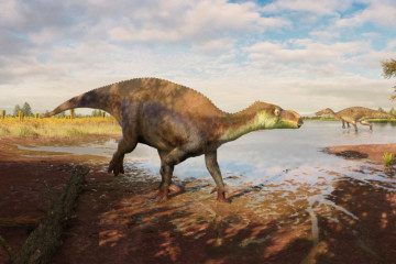 A Brickworks Hid a Dinosaur Secret 🦖 Fossils Reveal a New Species from Ancient England