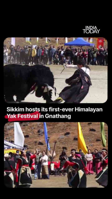 Sikkim Just Hosted Its First Yak Festival in Gnathang and Honestly, We Are Here for It! 🐂🏔️