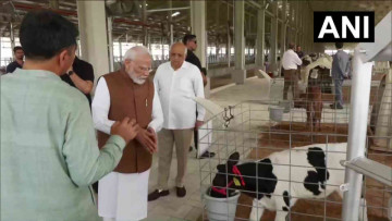 PM Modi Visits Banaskantha Cattle Farm to Check Out the Cutest Calves Ever! 🐄✨