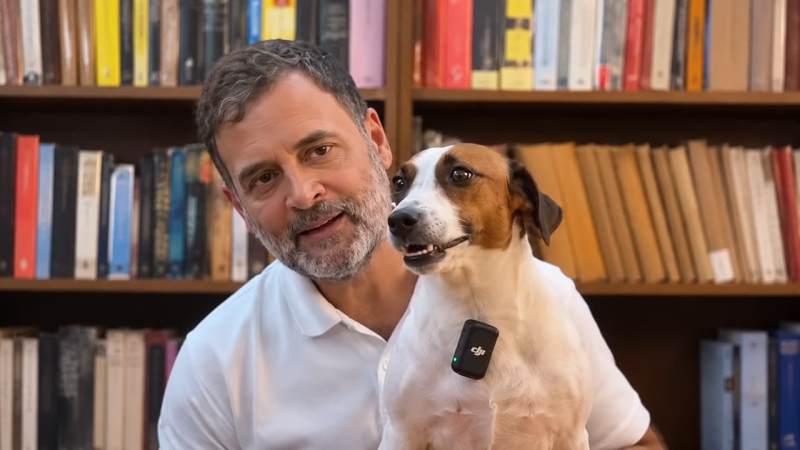 Rahul Gandhi's Instagram AMA Gets an Adorable Interruption From Sonia Gandhi's Pet Dog, Internet Melts